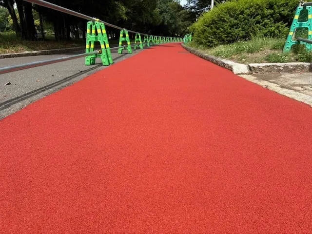 大阪府八尾市 久宝寺緑地公園
