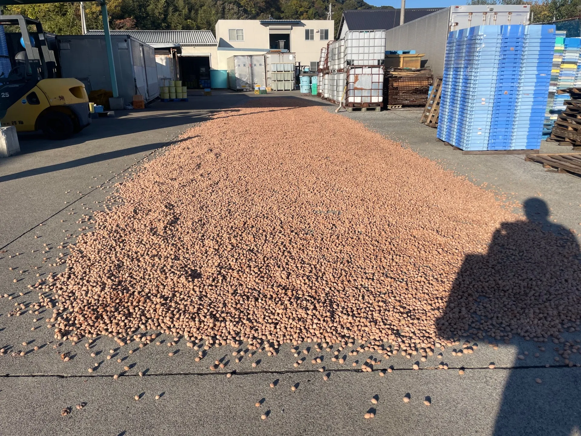 人工芝充填材梅チップ掲載